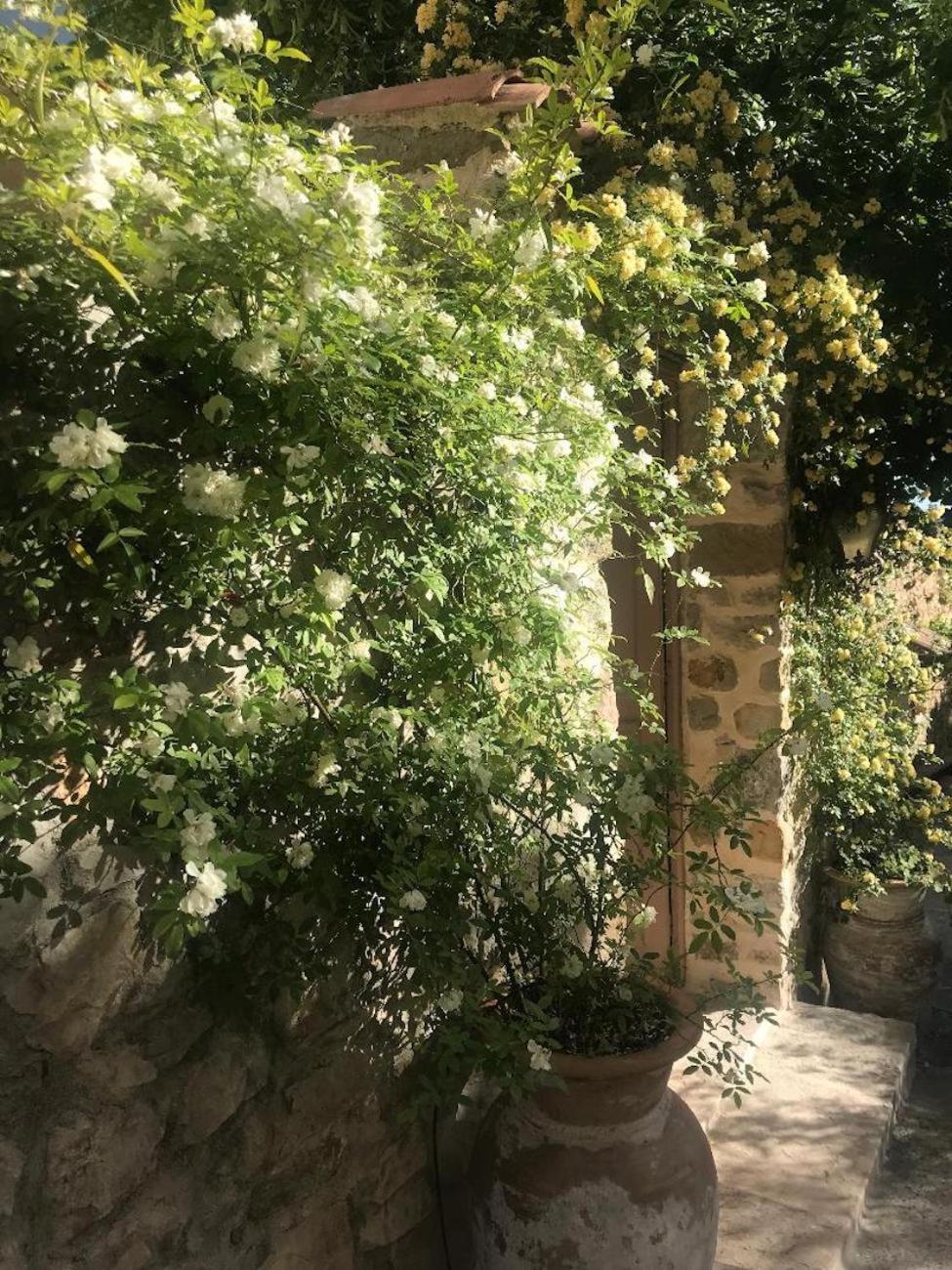 Les Vieux Murs Montfort  Zewnętrze zdjęcie