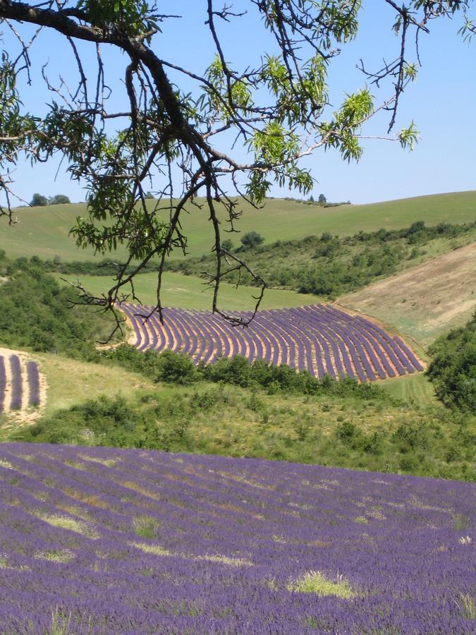 Les Vieux Murs Montfort  Zewnętrze zdjęcie