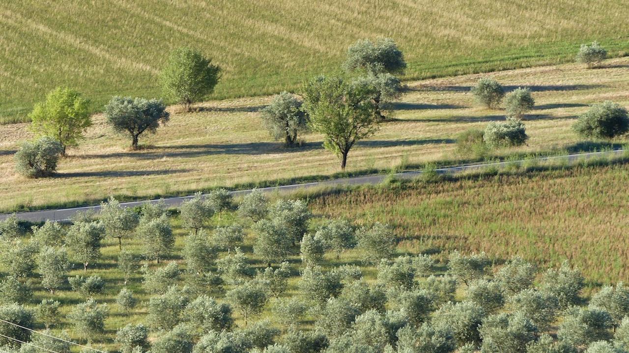 Les Vieux Murs Montfort  Zewnętrze zdjęcie